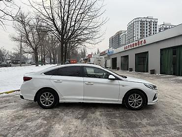 Hyundai: Hyundai Sonata: 2018 г., 2 л, Автомат, Газ, Седан — 6