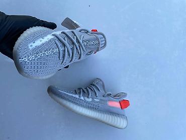 42: Adidas Yeezy patike

Novo
Brojevi 36 do 46

fb Moja Kupovina 1 — 1
