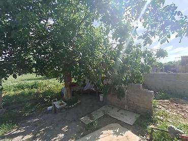 срочно только нал: 🏡✨ ПРОДАЁТСЯ БОЛЬШОЙ УЮТНЫЙ ДОМ С ДВУМЯ ЖИЛЫМИ ДОМАМИ НА УЧАСТКЕ! ✨🏡 📍 — 7