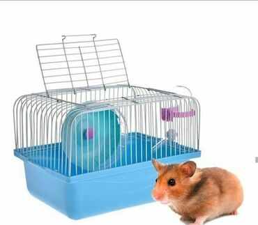 Su və yem qabları: Shekilleri cevirin Xamyaklar ucun her bir aksesuarlar satilir — 12