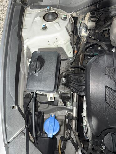 Hyundai: Hyundai Grandeur: 2019 г., Седан — 27