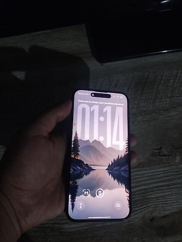 fresh juce: IPhone 14 Pro, Б/у, 128 ГБ, Черный, Чехол, 77 % — 2