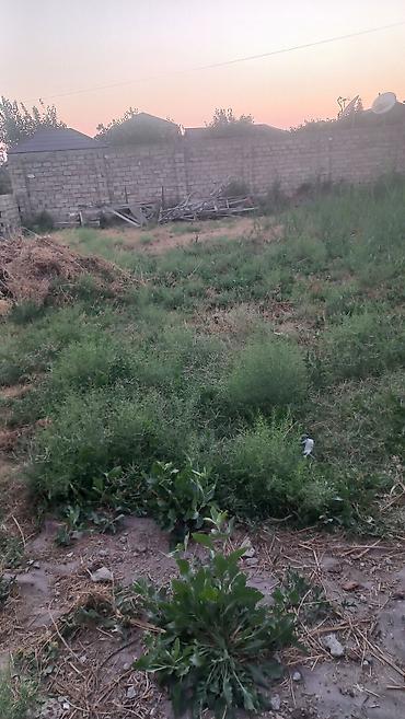 bağca satılır: Bakı, Əhmədli, 5 kv. m, 1 otaqlı, Hovuzsuz — 6
