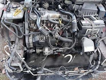 maglenke: REMENICA ALTERNATORA ZA FORD FOCUS OD 2000. DO 2004. GOD. | — 2