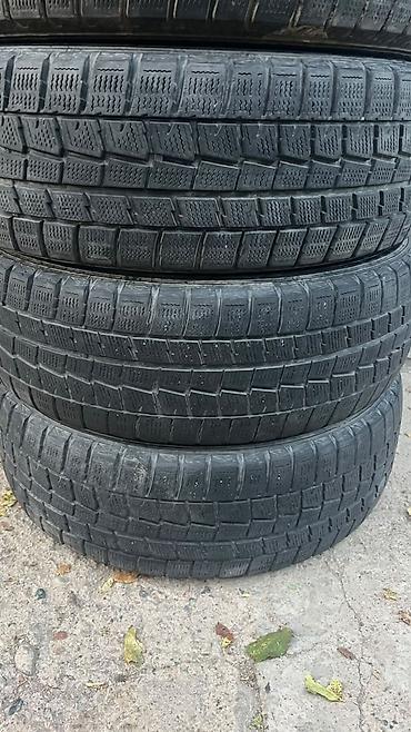255 70 16: Шины 195 / 65 / R 15, Зима, Б/у, Комплект, Легковые, Япония, Dunlop — 3