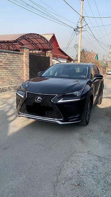 Lexus: Lexus NX: 2019 г., 2 л, Автомат, Бензин, Кроссовер — 2