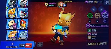 Другое: Brawl Stars oyunu üçün hesab - Kupa: 15 060 (Kupa Yolu I) - Toplanan — 7