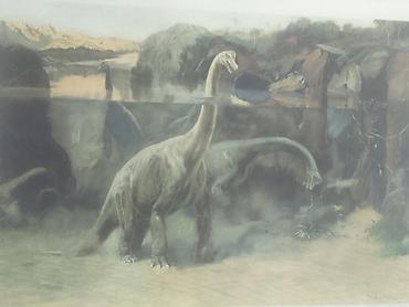 Ev üçün dekor: Məhsul: Dinozavr mövzusunda vintage illüstrasiya çapları dəsti — 8