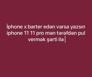 red dead 2: IPhone 11