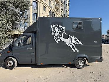 sprinter 2 2: 🐎 ПРОДАЮ КОНЕВОЗКУ MERCEDES-BENZ SPRINTER 313 🚛 Продаётся надёжная и — 1