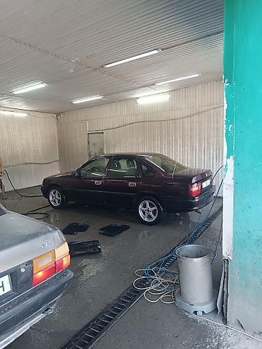 210 панель: Opel Vectra: 1995 г., 1.8 л, Седан — 4