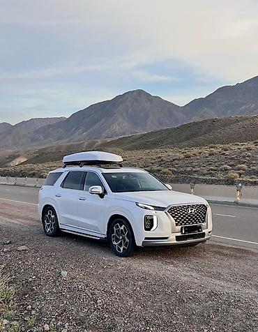 тонировка съёмная: Hyundai Palisade: 2022 г., 2.2 л, Автомат, Дизель, Кроссовер — 2
