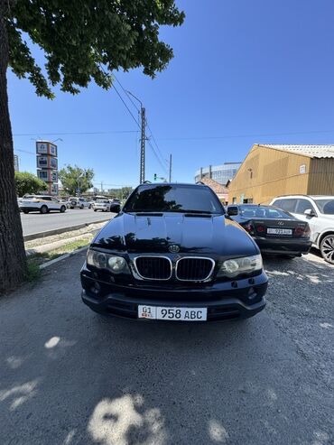 bmw x6 xdrive50i steptronic: BMW X5: 2003 г., 3 л, Автомат, Дизель, Жол тандабас