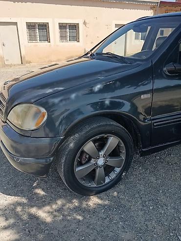 mercedec: Mercedes-Benz ML 320: 3.2 l | 1999 il Ofrouder/SUV — 4