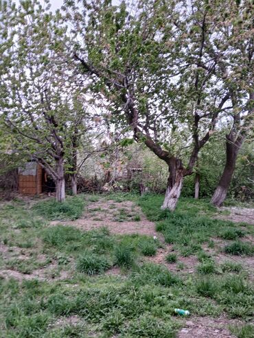 продаю дом село джал бишкеке: Дача, 500 м², 3 комнаты, Собственник, Евроремонт