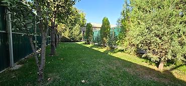 Продажа барачных домов: Продаю дом (барачного типа) с приусадебным участком в тихом — 12