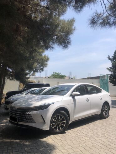 BYD: BYD : 1.5 l | 2024 il Sedan — 3