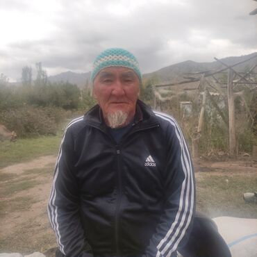 шабашные расценки на строительные работы рядом просп жибек жолу бишкек: Мал БАГАМ стаж 40жыл Так ответственныймын баасы келишим турдо