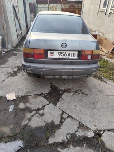 фолсваген жук: Volkswagen Vento: 1992 г., 1.8 л, Механика, Бензин, Седан