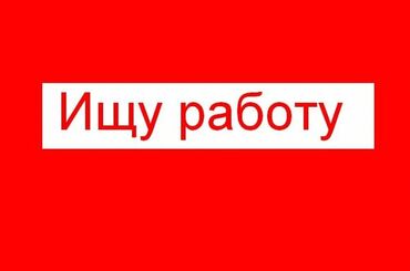 официантка жумуш: Официант. Тажрыйбасыз