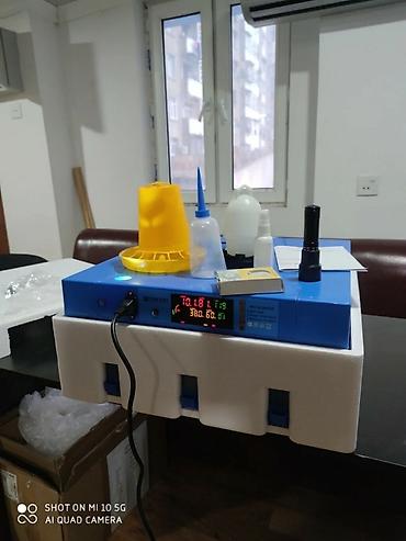 ınqbator: 50 yumurta, Çin, Fabrik istehsalı, Tam avtomat, Zəmanət ilə — 2