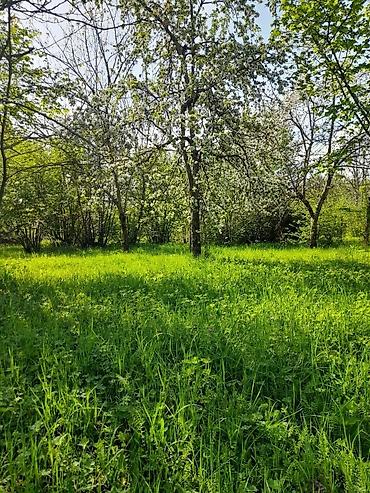 ucuz evler bine: 30 sot, Tikinti, Mülkiyyətçi, Kupça (Çıxarış) — 9