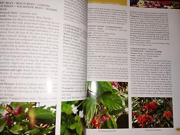 Словари: Энциклопедические словари б/у в хорошем состоянии 💥 Энциклопедический — 20