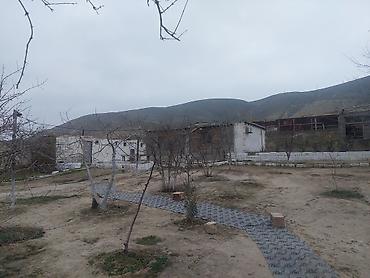 Bağ evlərinin satışı: Xırdalan, 12000 kv. m, 4 otaqlı, Hovuzsuz, Su — 15