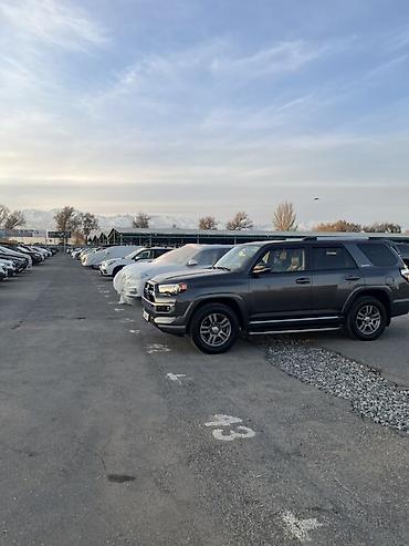 Toyota: Toyota 4Runner: 2020 г., 4 л, Типтроник, Бензин, Внедорожник — 13