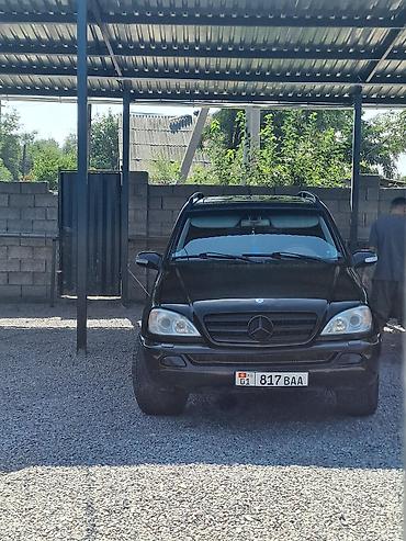 мерс mers: Mercedes-Benz ML-Class: 2002 г., 3.2 л, Автомат, Бензин, Внедорожник — 6