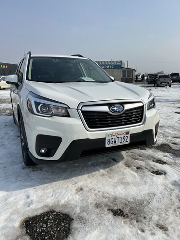 Subaru: Subaru Forester: 2020 г., 2.5 л, Вариатор, Бензин, Кроссовер