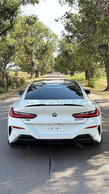892 2: BMW 8 series: 2019 г., 4.4 л, Автомат, Бензин, Купе — 4