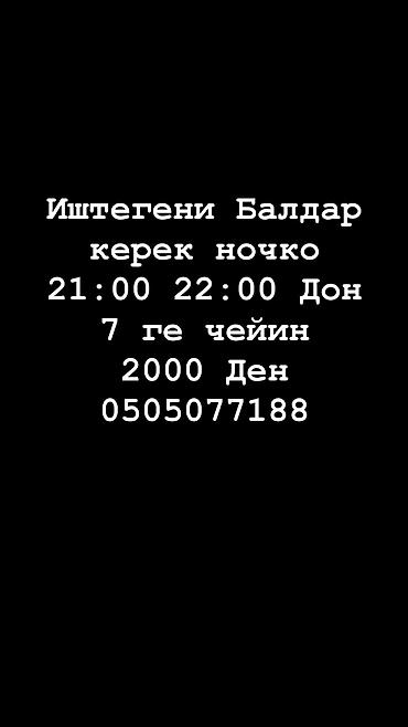 айтишник ош: Башка адистиктер — 1