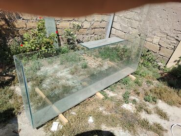 akvarium 90x40x50: Akvarium satıram