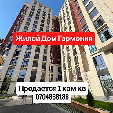 1 комната, 46 м², Таш-Рабат ТРЦ Элитка, 14 этаж, Свежий ремонт at lalafo.kg 1 комната, 46 м², Таш-Рабат ТРЦ Элитка, 14 этаж, Свежий ремонт