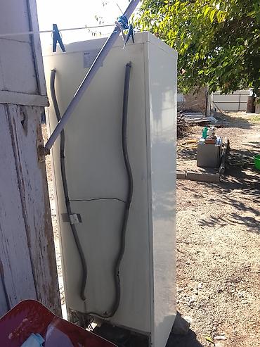 стиральная машина б: Холодильник AVEST BCD-290 - Тип: двухкамерный, нижняя морозильная — 2