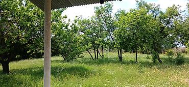 Bağ evlərinin satışı: Göyçay, 100 kv. m, 2 otaqlı, Hovuzsuz — 10