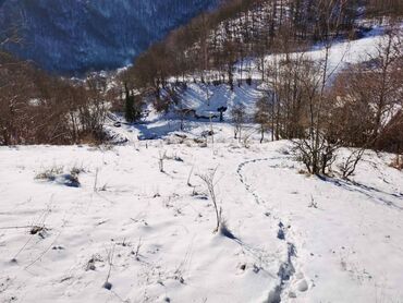 Prodaja zemljišta: 130 ares, Vlasnik — 7