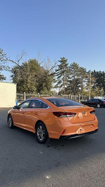 sonata orange: Hyundai Sonata: 2020 г., 2 л, Автомат, Газ, Седан — 6