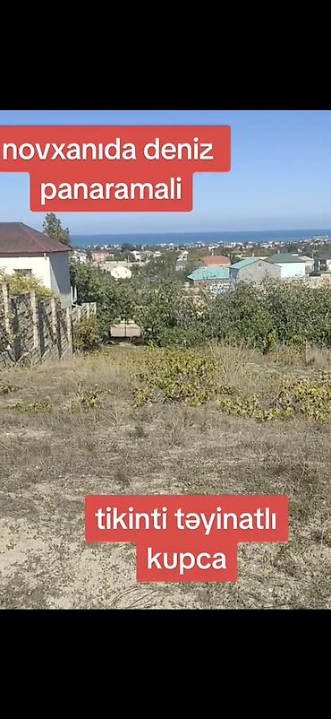 Torpaq: 12 sot, Mülkiyyətçi, Kupça (Çıxarış) — 4