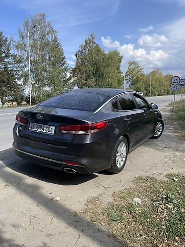 ccc bmw: Kia Optima: 2016 г., 2 л, Автомат, Газ, Седан — 3