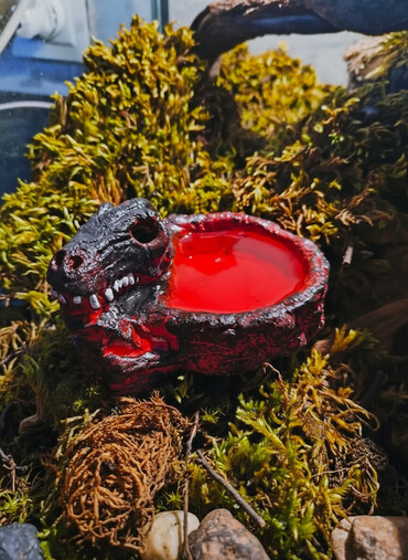 Зоотовары: 🌿 Украшения и декорации для аквариумов и террариумов 🌿 Продаю — 1