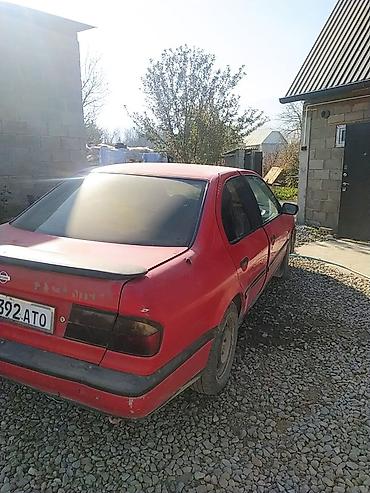 toyota celika: Nissan Primera: 1997 г., 1.6 л, Механика, Бензин, Седан — 4