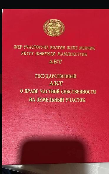 баа: 423 соток, Курулуш, Сатып алуу-сатуу келишими, Кызыл китеп — 1