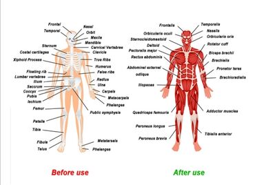 Колье: Энергетический кулон-ожерелье на цепочке Описание: - Подвеска круглой — 5