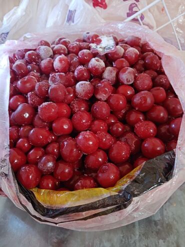 суха фрукты: Продаётся замороженная вишня по доступной цене - отлично подойдёт