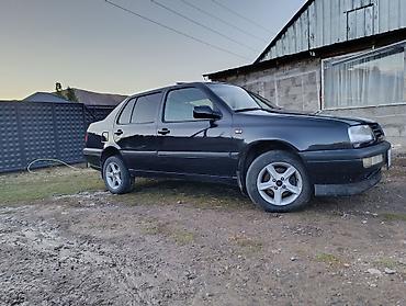 Volkswagen: Volkswagen Vento: 1996 г., 1.5 л, Автомат, Бензин, Седан — 6