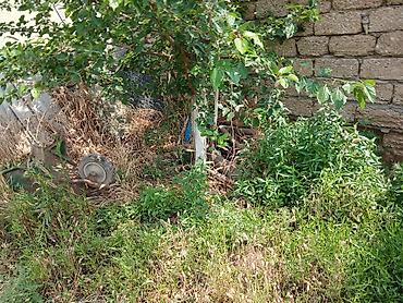 Torpaq sahələrinin satışı: 4 sot -da lalafo.az — 4 Torpaq sahələrinin satışı: 4 sot — 4