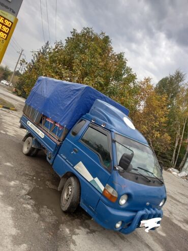 бочка для мусора: Портер, Вывоз строй мусора, По городу, с грузчиком