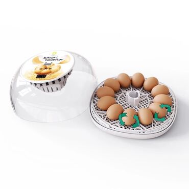 сепаратор для яиц: Мини инкубатор на 12 яиц